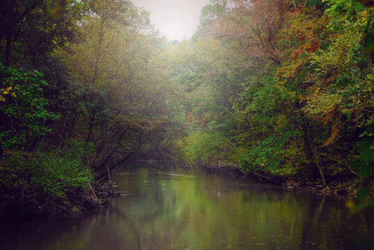 morning on the river