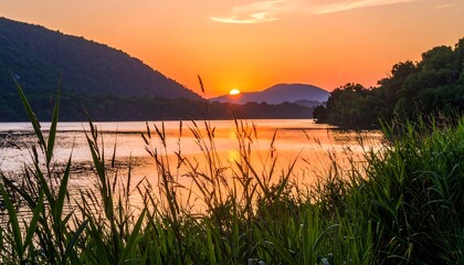 Sunrise over a river, framed by tall grasses
