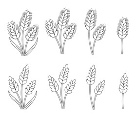 Wheat Plant Outline Clipart Illustrations with Different Variations