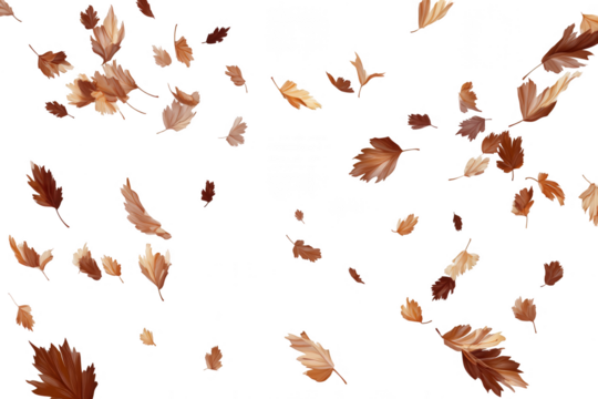 Dried brown leaves falling through the air on a white background, png, transparent