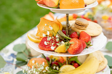 multi-tiered serving stand filled with fresh strawberries, cookies, macarons, and citrus slices, decorated with baby's breath flowers