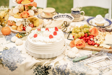 elegantly styled outdoor picnic table featuring a whipped cream cake with raspberries, a cheese board with grapes and cubed cheese, a tiered dessert tray with fruit and cookies, and vintage tea ware