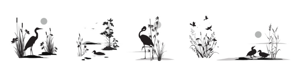 Swamp plants thicket: grass reed, cane, cattail, sedge, bamboo, miscanthus and standing, flying, swimming birds: heron, flamingo, ducks, sparrows. Monochrome silhouette landscape isolated drawings set