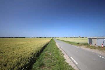 Fototapeta premium Tweemanspolder area with summer grain and windmills of the Molenviergang