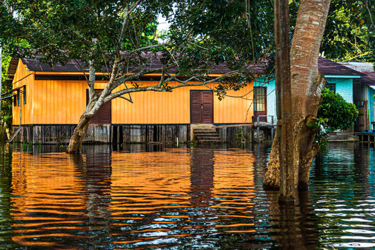 House in the middle of the Amazonas River. Homes are often built on riverbanks and use local materials such as wood and thatch. These houses range from small, beehive-shaped huts to malocas.