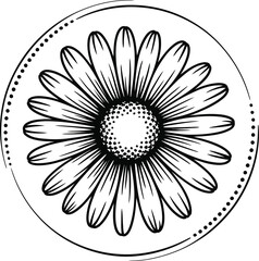Elegant daisy flower illustration showcases delicate petals and a dotted circle, perfect for botanical designs, minimalist art, and nature-inspired creative projects.