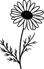 Elegant daisy illustration showcases a delicate floral design, perfect for botanical themes, minimalist art, and creating a touch of nature in graphic projects.