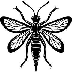 Vector art of a winged wasp a stinging insect isolated on white background