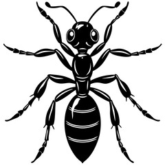 Vector art of a detailed black and white ant illustration isolated on white background