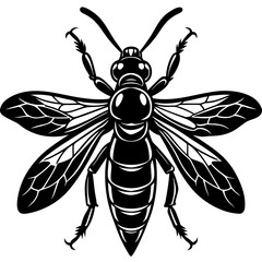 Vector art of a stylized black wasp with detailed wings isolated on white background