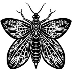 Vector art of intricate moth with decorative patterns isolated on white background