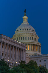 Obraz premium U.S. Capitol Dome at Twilight