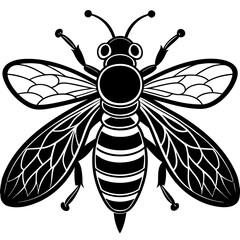 Vector art of a detailed black and white vector illustration of a honeybee isolated on white background