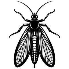 Vector art of a detailed illustration of a moth isolated on white background