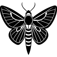 Vector art of a stylized moth with patterned wings isolated on white background