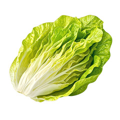 Fresh and crisp iceberg lettuce wedge showcasing its intricate layers Perfect for food and healthy eating concepts