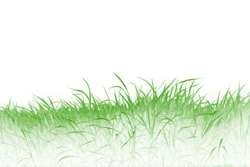 Lush Green Grass Texture High-Resolution Nature Image for Design Projects