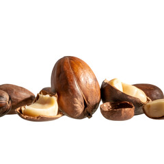 Discover the rich texture and natural goodness of shea nuts, a versatile ingredient for beauty and wellness.