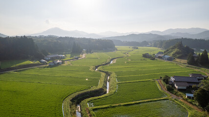 棚田の風景