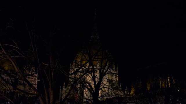 View of the Hungarian Parliament at night. Illuminated hungarian parliament building gradually emerging from dark tree silhouettes, revealing majestic neo-gothic dome under mysterious night sky