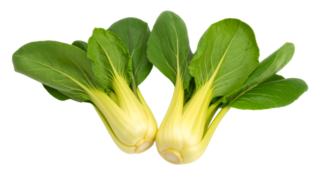 Two fresh bok choy vegetables isolated on transparent background