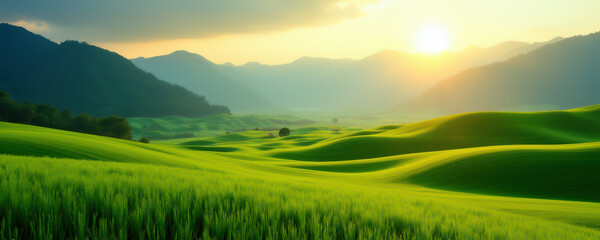 Fototapeta premium Hilly area with green meadow under sunset
