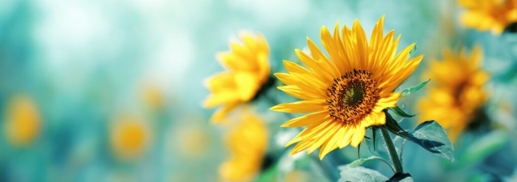 A group of sunflowers in full bloom, with bright yellow petals and green leaves against the background of blurred nature Generative AI