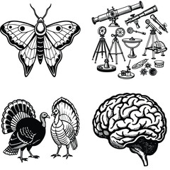 Vector art of a collage of nature and science elements featuring a butterfly telescopes turkeys and a human brain isolated on white background