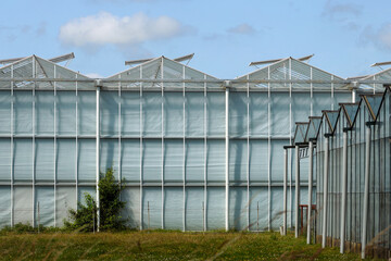 Greenhouse and laboratories of the Wageningen university location Bleiswijk