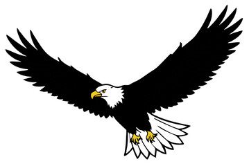 Obraz premium Wild American bald eagle in flight, a majestic bird of prey with a white head and beak, a symbol of freedom in nature