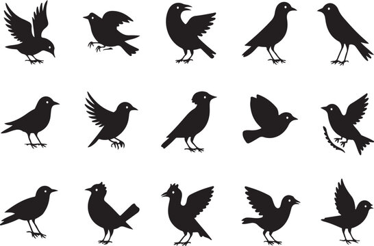 Collection of black bird silhouettes depicting various poses and flying activities on white background