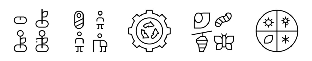 Conjunto de iconos de ciclo de vida. Proceso de desarrollo, transformación y evolución. Crecimiento de planta, etapas de la vida, ciclo, metamorfosis y estaciones del año. Ilustración vectorial