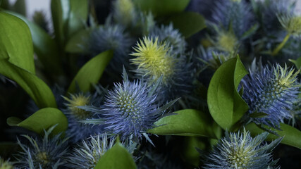 Eryngium. Ruscus. Dark bouquet in a black wrapper. exotic plants. close-up