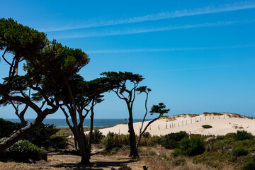 Sunny beach scene near Cascais, Portugal