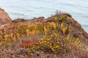 Scenic sand dunes near Cascais, Portugal