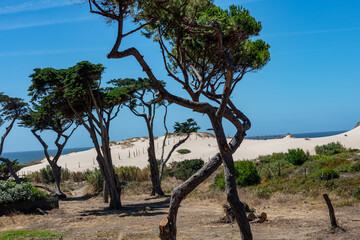 Scenic sand dunes near Cascais, Portugal