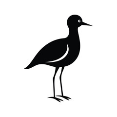 Obraz premium a plover bird full black silhouette vector illustration on white background