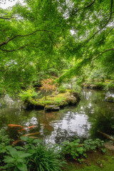 新緑の最勝寺
