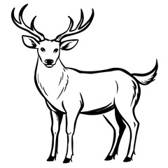 Fototapeta premium Male deer standing with antlers in minimalist black and white design 