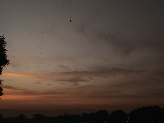 beautiful view of the evening sunset sky in golden orange