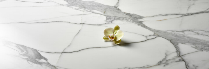 White marble texture background luxury stone surface commercial design resource