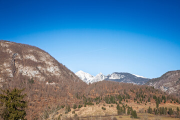 Wide panorama toward snow capped peaks of the Julian Alps seen from Triglav National Park, Slovenia; brown winter forest and alpine meadows lead the eye to crisp white summits under a clear blue sky.