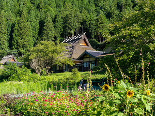 茅葺き屋根の古民家が建ち並ぶ美山かやぶきの里の風景