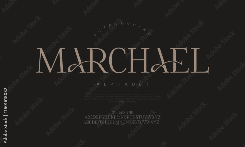 Poster elegant serif font with modern flourishes and clean structure, perfect for timeless editorial and fa