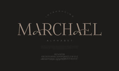 Elegant serif font with modern flourishes and clean structure, perfect for timeless editorial and fashion branding