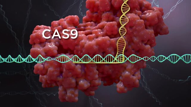 CrispR CAS 9 Gene Editing With Labels