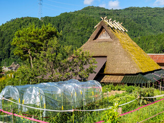 畑と茅葺き屋根の古民家