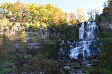 waterfall in autumn forest