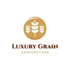 Luxury Grain wheat logo concept, Agriculture wheat Logo Template vector icon