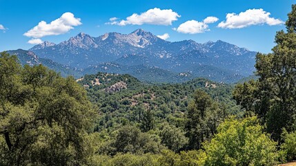 Lush valley with distant mountain range under a vibrant blue sky